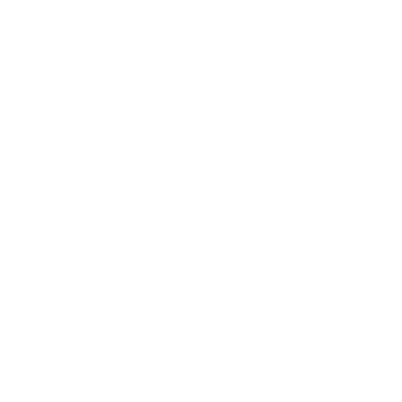 Tvättbjörnarna.se logotyp - Din lokala fönsterputsare.